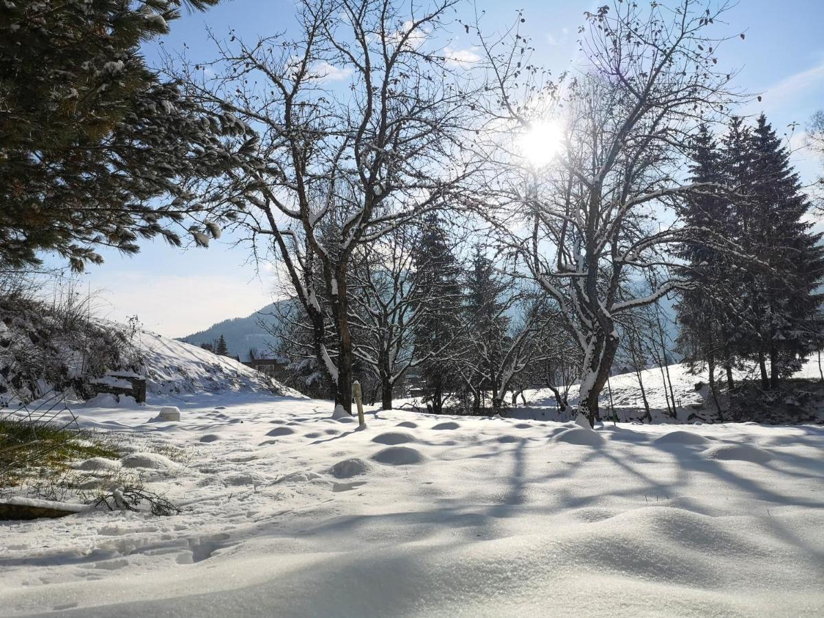 Haus Senna Villa Murau Eksteriør bilde